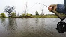 Video thumb for Swinging Flies for migratory rainbows