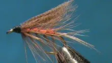 Video thumb for Catskill - a classic wet fly