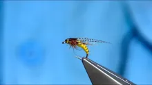 Video thumb for McPhail Caddis Pupa