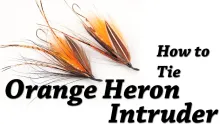 Video thumb for Orange Heron Intruder