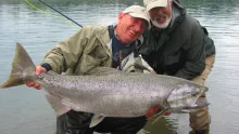 Video thumb for Huge Steelhead and Trophy Chinook Salmon flyfishing in BC