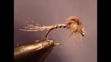 Video thumb for Hammer Creek Loop Wing Emerger