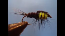 Video thumb for Montana Nymph