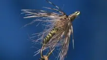 Video thumb for Oliive Red Squirrel Soft Hackle