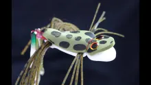 Video thumb for STP Frog Tube Fly