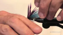 Video thumb for Winding Guinea Hackle collars on Steelhead and Salmon Flies