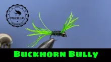 Video thumb for Buckhorn Bully