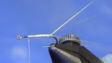 Video thumb for Tying Dry Fly Tails with Microfibetts