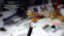 Video thumb for EC Caddis