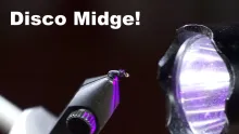 Video thumb for Disco Midge