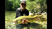 Video thumb for Marmoratas on Dry Fly