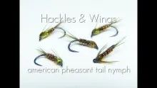 Video thumb for American Pheasant Tail Nymph