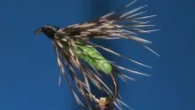 Video thumb for Olive Acrylic and Partridge Wet Fly