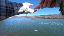 Video thumb for Vallecito Lake in early Spring