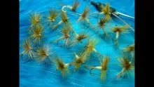 Video thumb for Lough Melvin MayFly (DryFly)