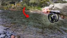 Video thumb for How to Spot and catch Trout