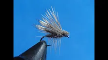 Video thumb for Elk Hair Caddis