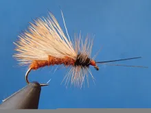 Video thumb for October Caddis