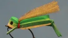 Video thumb for Weedless Foam Grasshopper