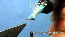 Video thumb for Upright Callibaetis Spinner