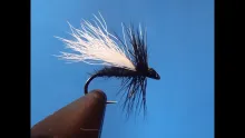 Video thumb for RS Midge