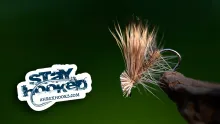 Video thumb for Elk Hair Caddis - EHC