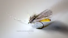 Video thumb for Detached Body Caddis