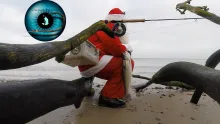 Video thumb for Fishing Santas