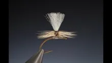 Video thumb for Tying the perfect parachute hackle