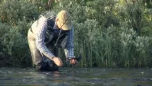 Video thumb for A Fishing Year Along The River Vindelaelven - part 3