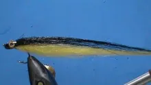 Video thumb for Magic Carpet Minnow