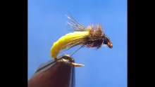 Video thumb for VN Caddis