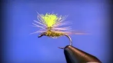 Video thumb for Blue-Winged Olive (BWO) Parachute