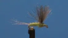 Video thumb for Blue Wing Olive (BWO)