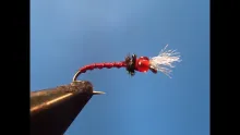 Video thumb for Rojo Midge