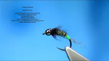 Video thumb for Tungsten Nymph