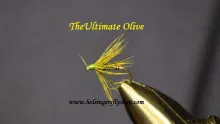 Video thumb for Ultimate Olive