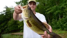 Video thumb for Bass on the fly