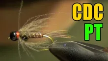 Video thumb for CDC Pheasant Tail