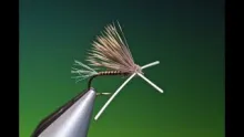 Video thumb for X-Factor Caddis