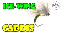 Video thumb for Ice Wing Caddis