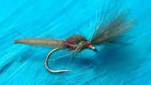 Video thumb for The Palomino Midge (Shuttlecock)