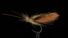 Video thumb for Italian Style Caddis