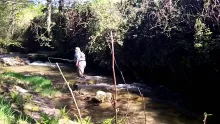 Video thumb for Fishing a small stream part one