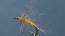 Video thumb for Orange Grizzly Fishhawk