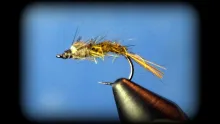 Video thumb for John Barr's BWO Flashback Emerger