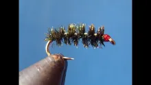 Video thumb for Peacock Midge