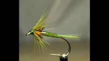 Video thumb for Olive Quill Cruncher