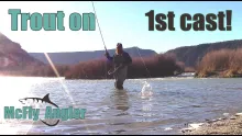 Video thumb for Trout on the 1st cast of the day! 