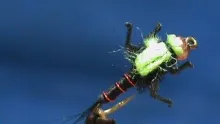 Video thumb for Black and Chartreuse Lively Legz Nymph